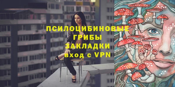 мяу мяу кристалл Переславль-Залесский