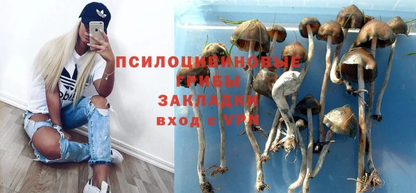 мяу мяу кристалл Переславль-Залесский